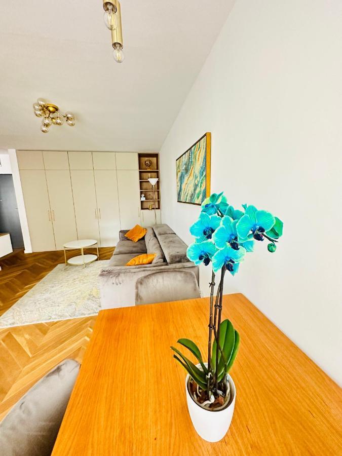 Bel Dom - The Central, Spacious 2 Rooms Luxury Apartment Клуж-Напока Экстерьер фото